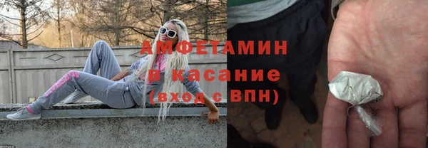 гашик Алексин