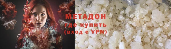 гашик Алексин