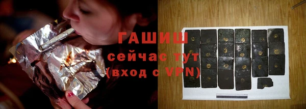 гашик Алексин