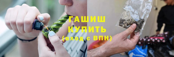 гашик Алексин