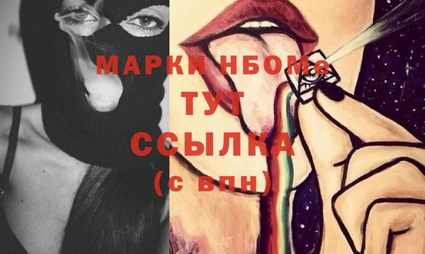 гашик Алексин
