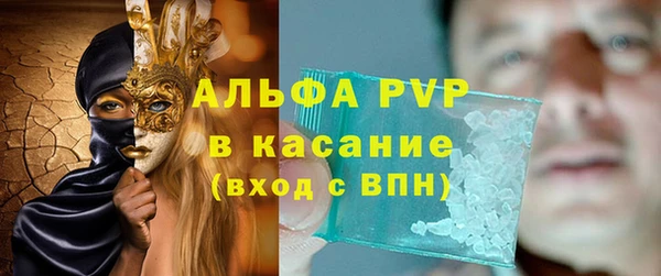 гашик Алексин