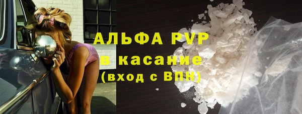 гашик Алексин